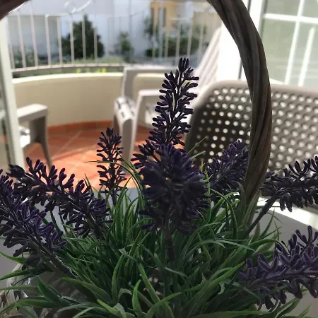 Bed & Breakfast Innsud