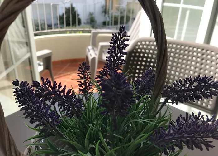 Bed and breakfast Innsud